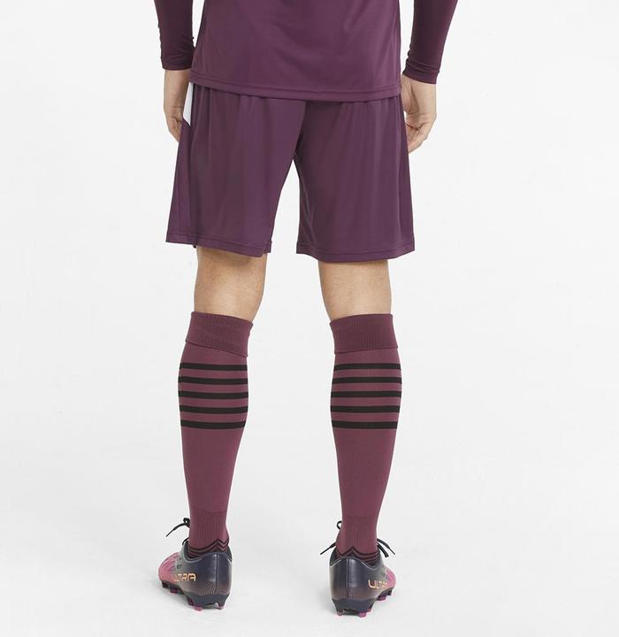 Actual product image Puma teamLIGA shorts (XXL)