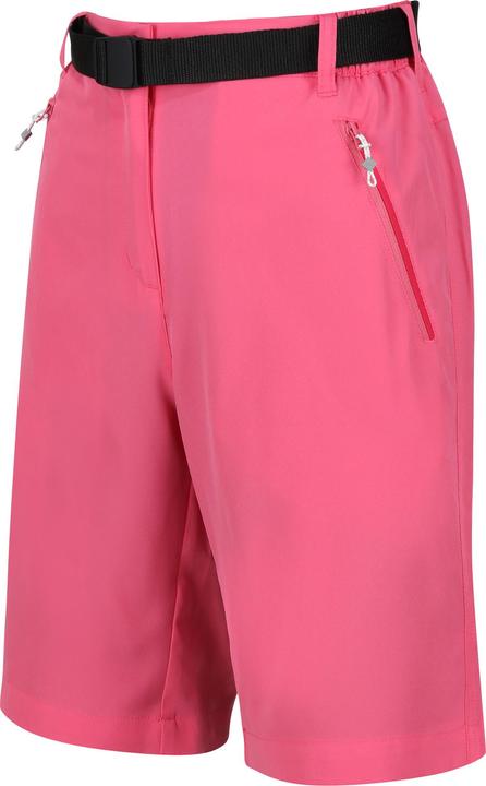 Actual product image Regatta Womens/Ladies Xert Stretch Shorts (36)