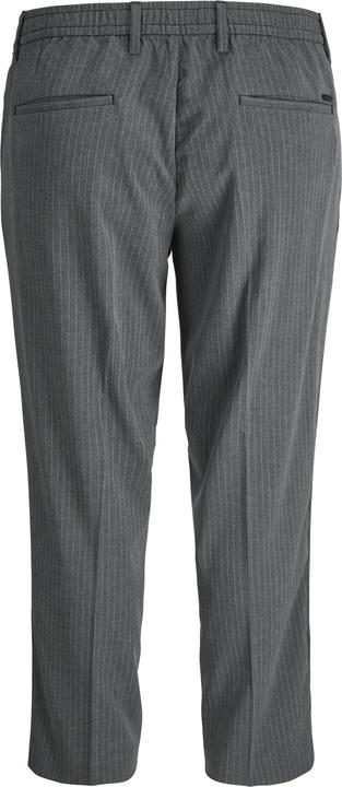 Actual product image Jack & Jones Plus Size Loose Fit Loose Fit Trousers Loose Fit Trousers (44)