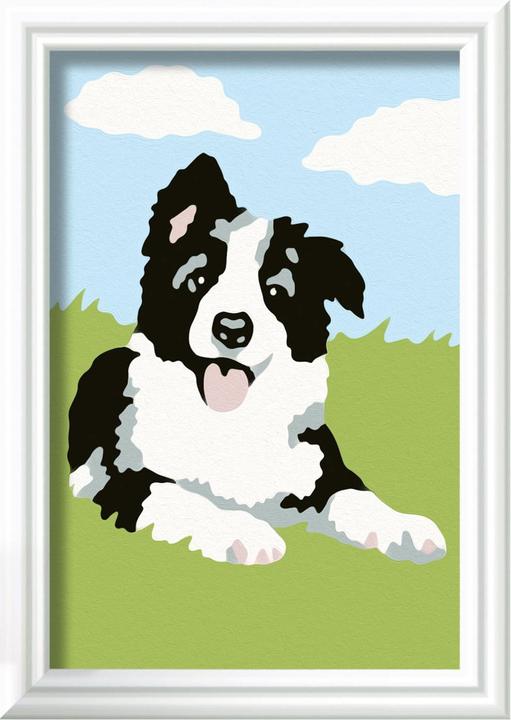Actual product image Ravensburger Painting by numbers - Border Collie puppy