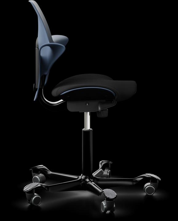Actual product image HAG Capisco Puls