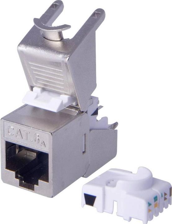 Actual product image Digitus CAT 6A Keystone Module,gesch. (Keystone module)