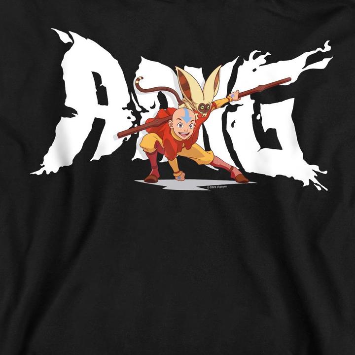 Produktbild Avatar: The Last Airbender Sweatshirt (L)