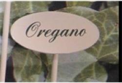 Gewürzstecker Oregano 20 cm (20 cm)