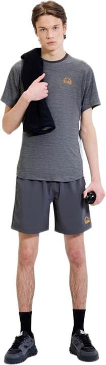 Actual product image Ellesse Mens Shorts (S)