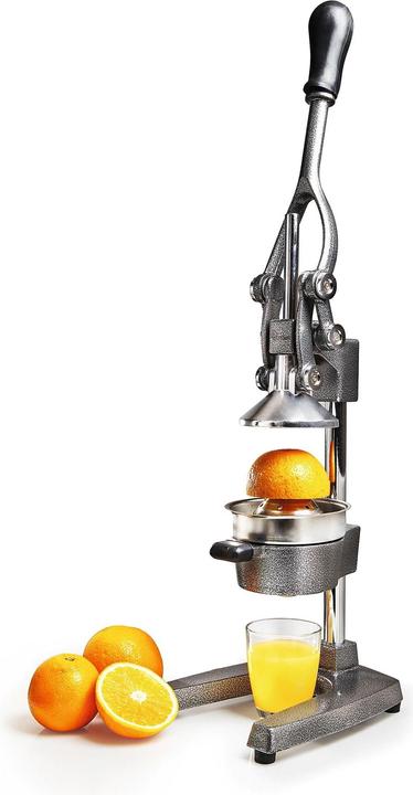 Actual product image Lumaland Juicer