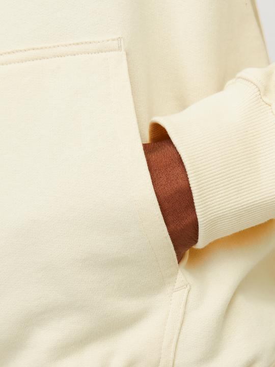 Image du produit Jack & Jones Jornoto Graphic Sweat Hood (S)