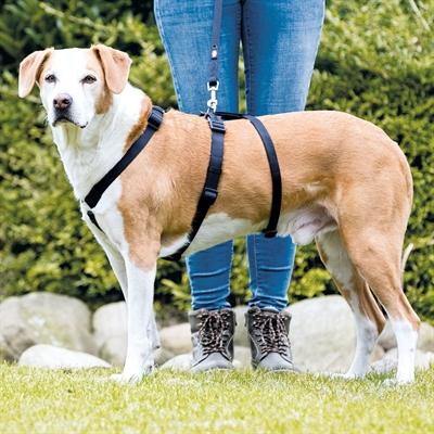 Produktbild Trixie Spezialgeschirr Stay bei Fluchtgefahr (XS, S, Hund, Hundesport)