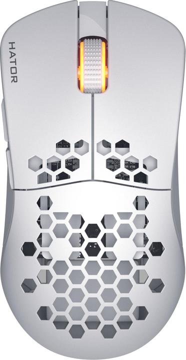 Image du produit Hator Stellar Pro Wireless (Sans fil)