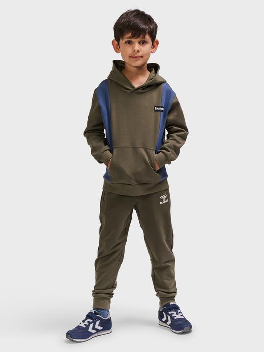 Actual product image hummel hmlALLTON HOODIE (104)