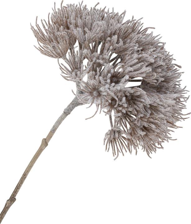 Actual product image House Nordic Nature (75 cm)