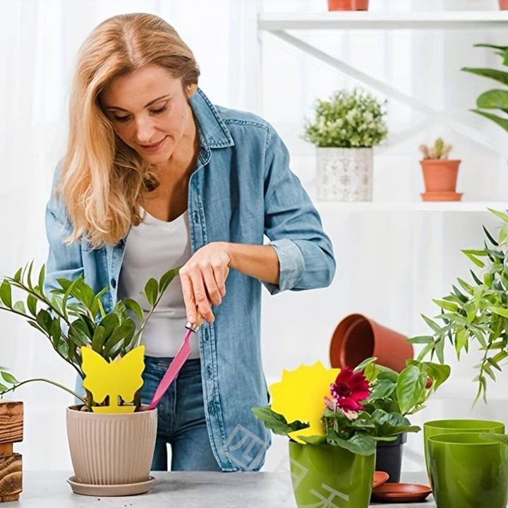 Produktbild König Design Gelbtafeln Gelbsticker Blautafeln Blausticker Fliegenfänger Fruchtfliegen Falle
