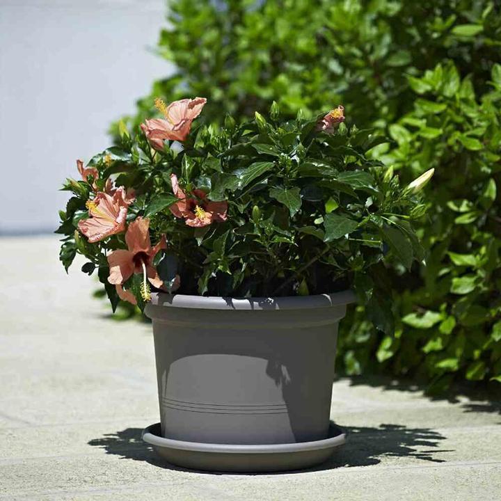Actual product image Euro3plast Planter (25 cm)