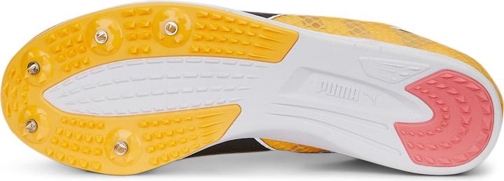 Produktbild Puma evoSPEED Distance 11 (37.5)