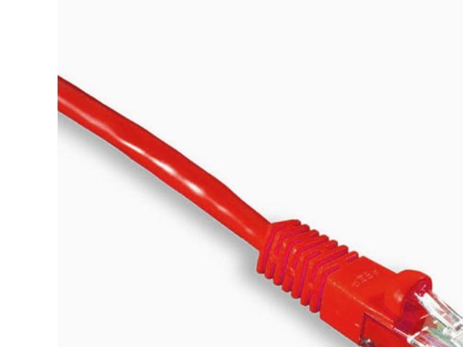 Image du produit Wirewin Câble réseau (F/FTP, CAT6, 5 m)