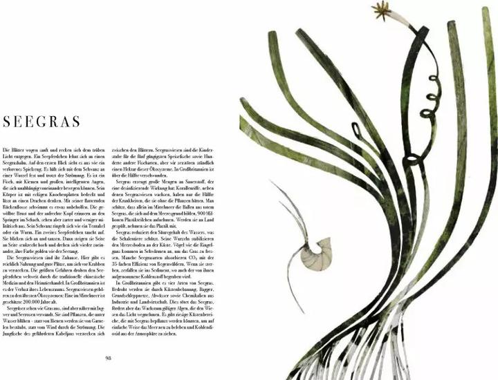 Produktbild Wunder der Natur (Deutsch, Beatrice Forshall, 2023)