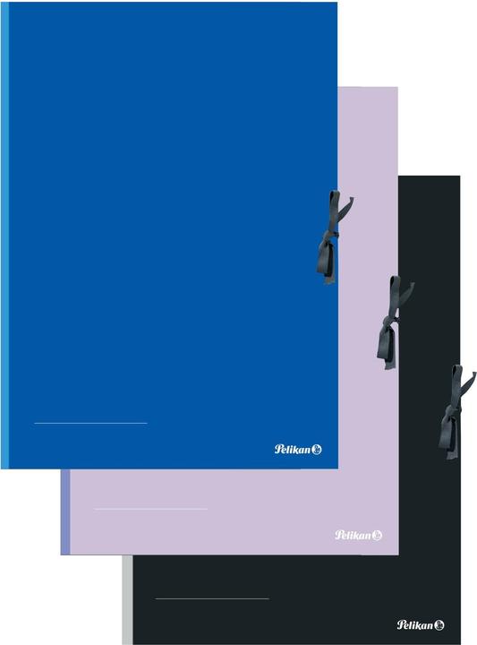 Pelikan Sammelmappe (A2, 1 x)