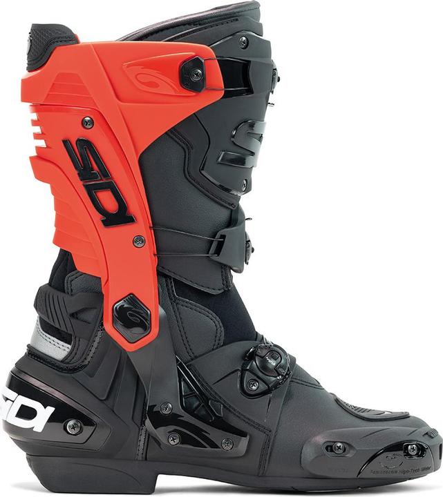 Sidi Rex