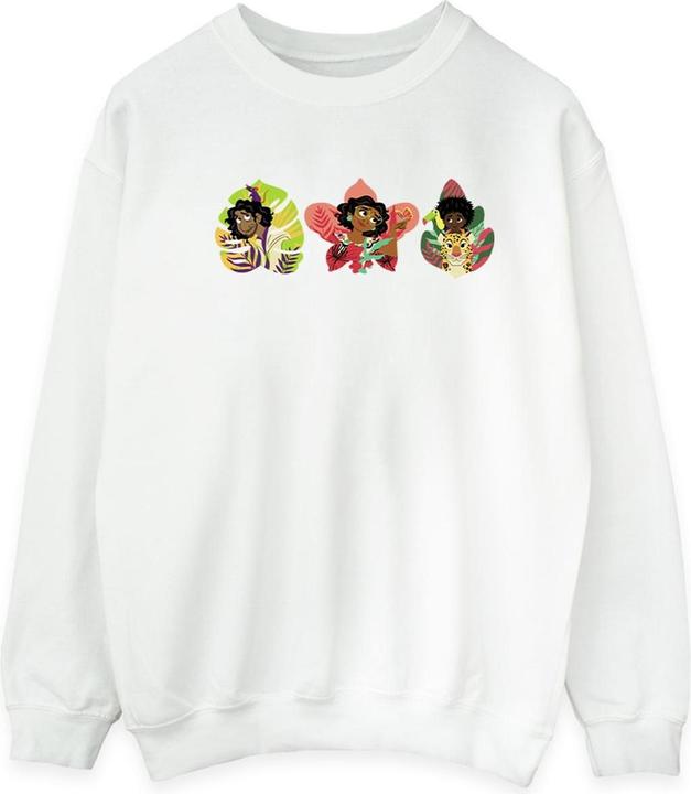 Actual product image Disney Mens Encanto Family Line Sweatshirt (XXL)
