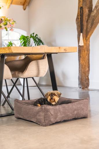 Produktbild Designed by Lotte Ribbed (Hund)