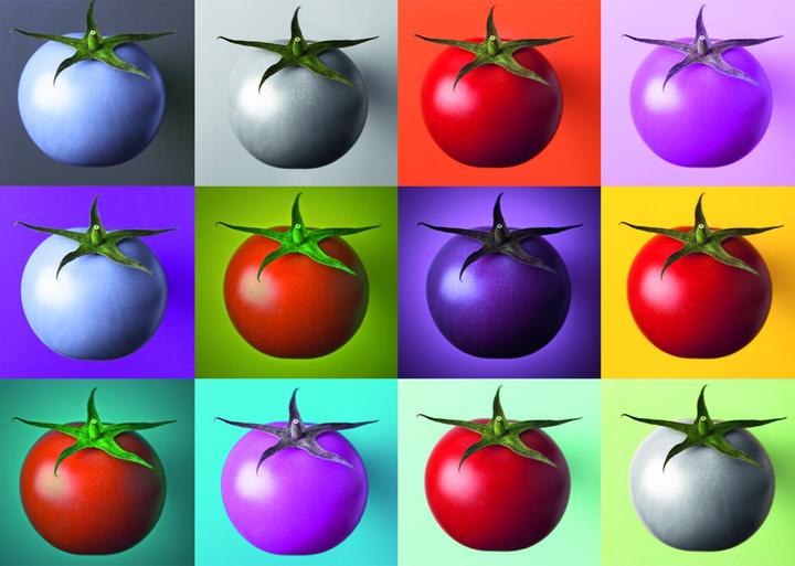 Image du produit Dino Puzzle Pop Art : Tomates 1000 pièces (1000 pièces)