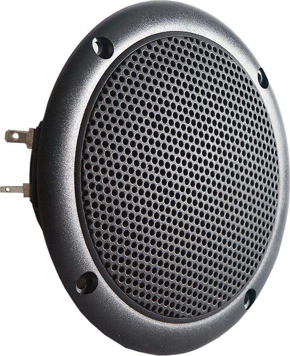 Actual product image Visaton Full range loudspeaker FR 10 WP