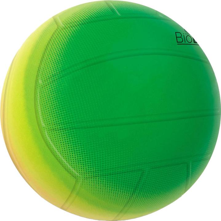 Actual product image Mondo Rainbow