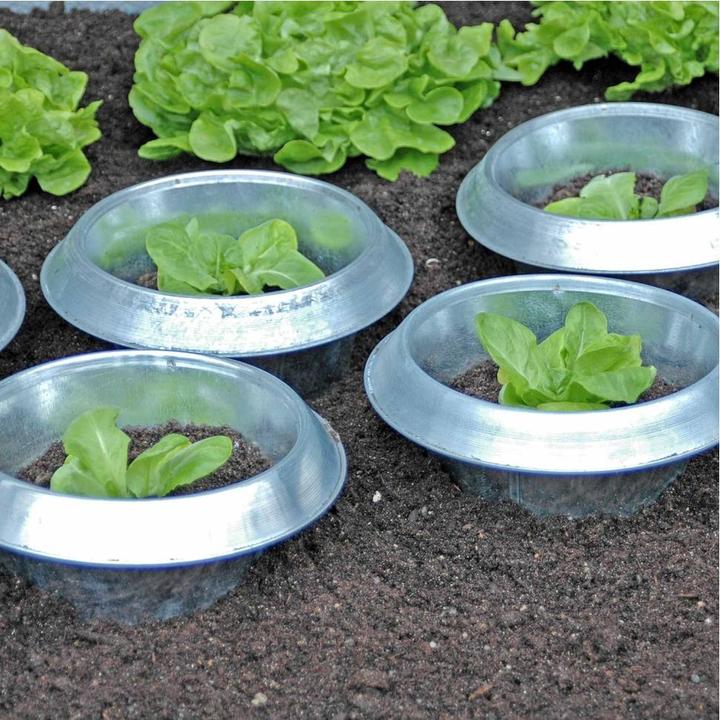 Image du produit Andermatt Biogarten Stop-limaces (10368 ml)