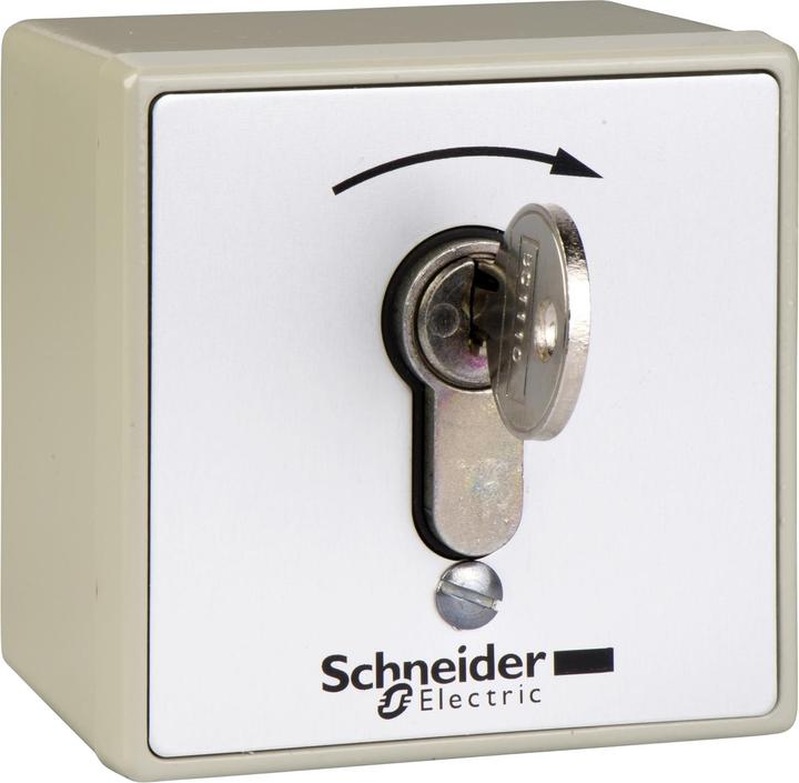 Actual product image Schneider Electric Vandal-proof surface-mounted control housing - XAP-S lock with special key