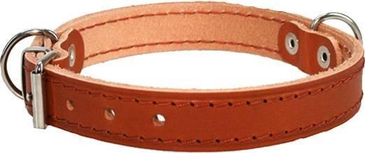 Produktbild Colly Leder Halsband extra stark (Hund, Spazieren)