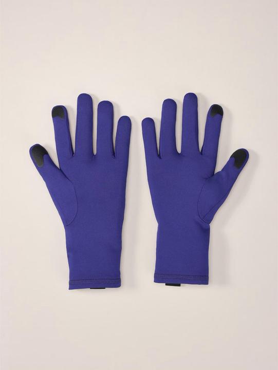 Actual product image Arc'teryx Rho (S)