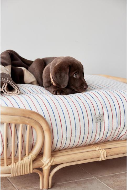 Produktbild Oyoy Hunde-Bett Otto (Hund)
