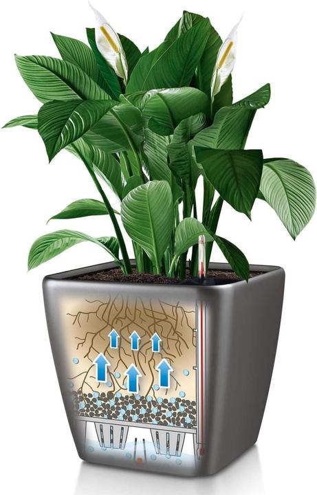 Produktbild Lechuza Quadro Ls (22.50 cm)