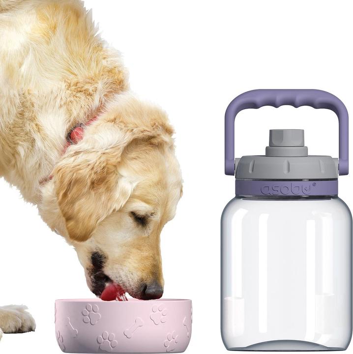 Actual product image Asobu The Barkely Bowl Bottle - pink - (84259104617) (1.50 l)