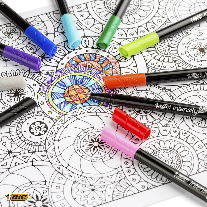 Immagine prodotto Bic Intensità Penna fine fine (Multicolore, 8 x)