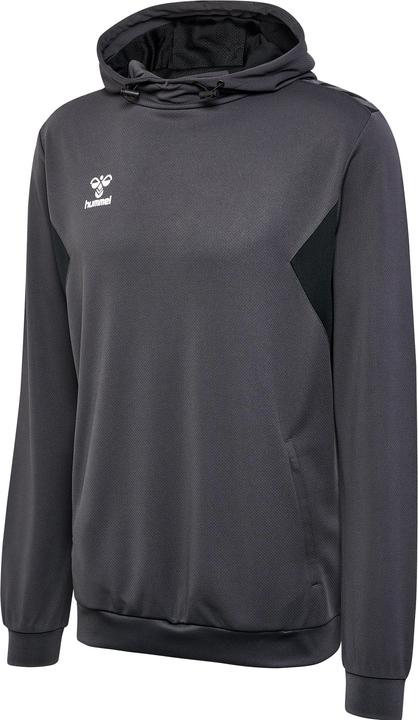 hummel Hmlauthentic Pl Hoodie
