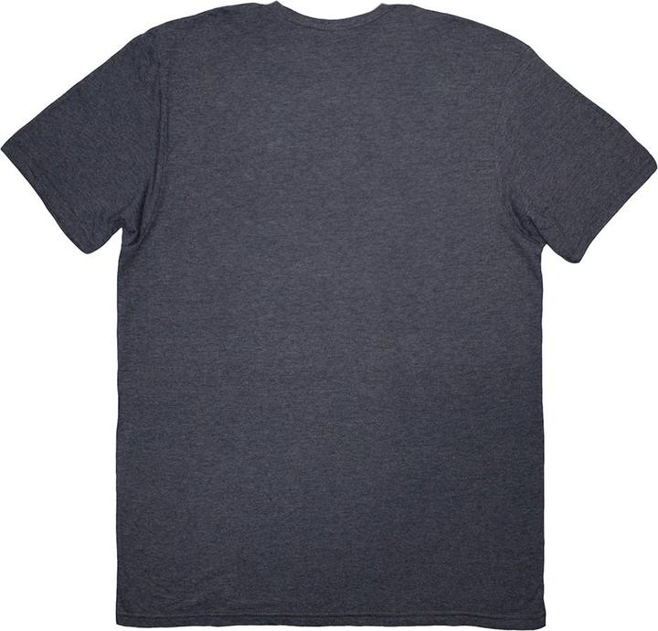 Actual product image Oasis Unisex Adult Globe Logo T-Shirt (M)