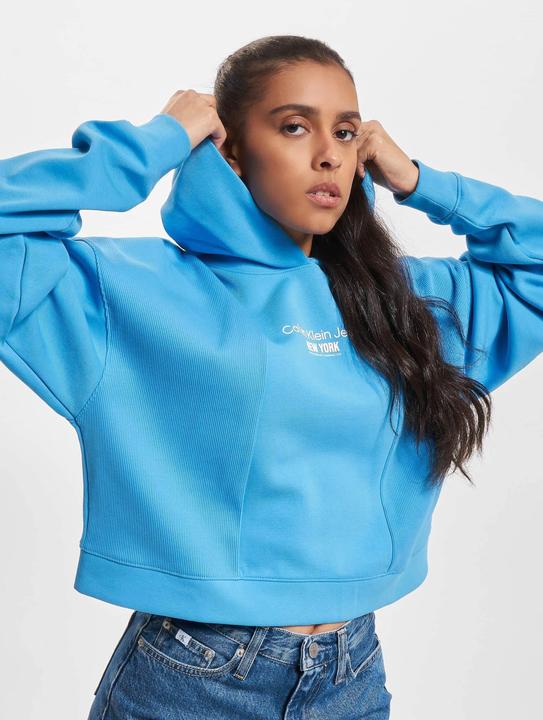 Produktbild Calvin Klein Jeans Rib Insert Interlock Hoodie - 89179 (S)