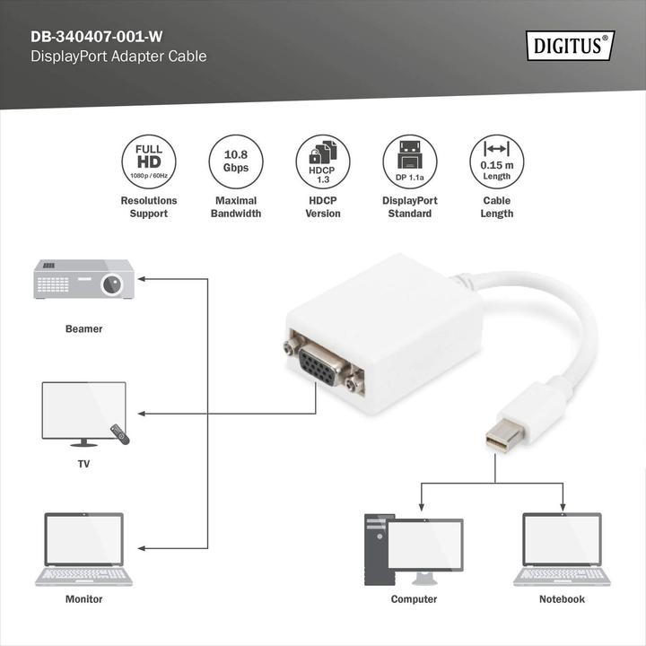 Actual product image Digitus DisplayPort adapter cable, mini DP - HD15 St/Bu DP, CE, white (Mini DP, 15 cm)