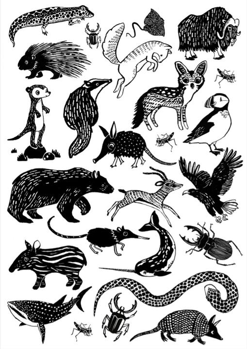 Actual product image Petit Monkey Children's tattoos, Black Animals
