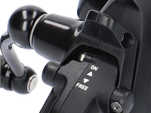 Actual product image Daiwa Black Widow BR LT (2500)