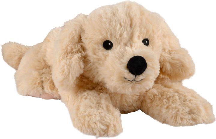 Warmies Golden Retriever (33 cm)
