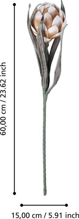 Actual product image EGLO LIVING Molave (15 cm)