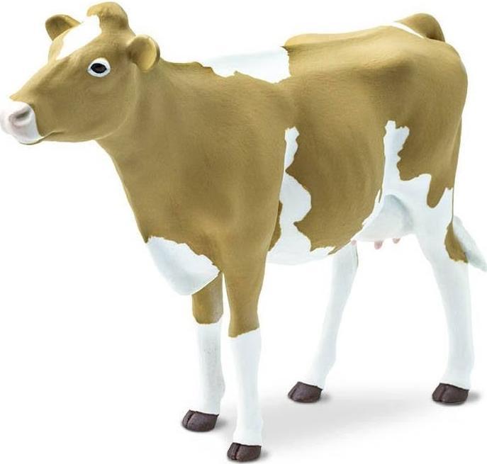 Actual product image Safari Guernsey beef