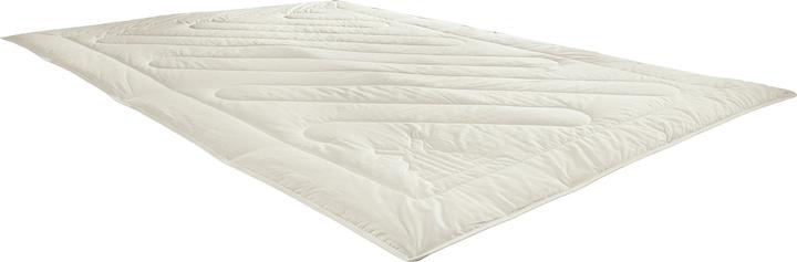 Actual product image Erwin Müller Organic virgin wool (240 x 220 cm)