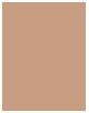 Image du produit Sensai Silky Bronze Natural Veil Compact (SC03 Moyen)