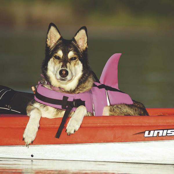 Actual product image Nobby Sharki (M, Dog life jacket)