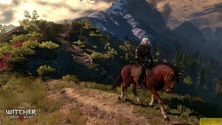 Image du produit Bandai Namco The Witcher 3: Wild Hunt - GOTY (PS4, Multilingue)