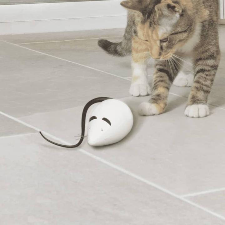 Immagine prodotto PetSafe Gioco automatico per gatti FroliCat® RoloRat (Catmint giocattolo)