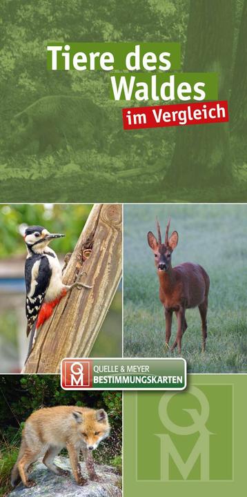 Produktbild Tiere des Waldes (Deutsch, Quelle & Meyer Verlag, 2021)